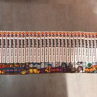 Manga completo Dragon Ball perfect edition