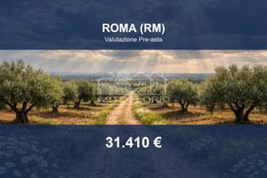 Immobile in asta di 20528 m² a Roma