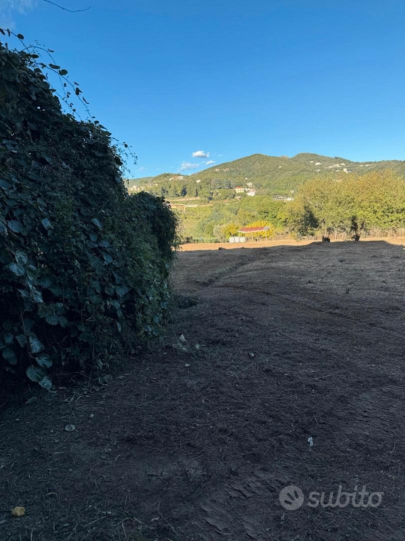 Terreno con deposito : ideale per azienda agricola - Altro