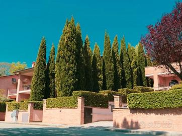 Appartamento in multiproprietà Assisi