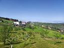 ter-agricolo-a-potenza