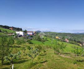 TER. AGRICOLO A POTENZA