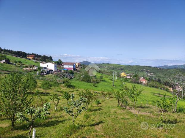 TER. AGRICOLO A POTENZA