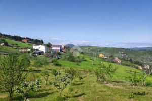 TER. AGRICOLO A POTENZA