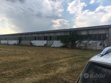 Fabbricato capannone