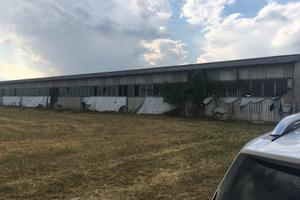 Fabbricato capannone