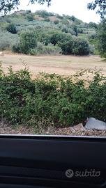comodo terreno pianeggiante 