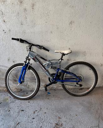 Bicicletta