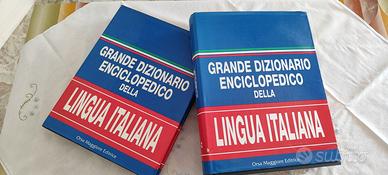 Grande Dizionario (2 Volumi) - Usato
