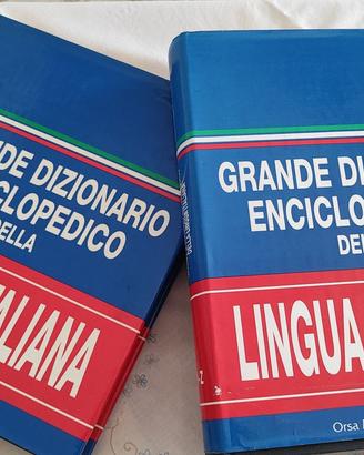 Grande Dizionario (2 Volumi) - Usato