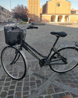 Bicicletta bisex