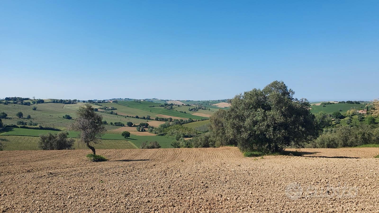 Casale con terreno agricolo - Altro
