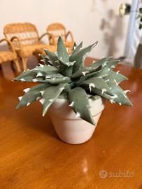 Finto cactus in ceramica