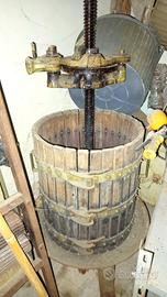 torchio per uva