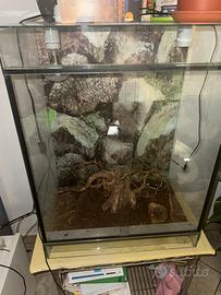 teca/rettilario con impianto luce UV riscaldante