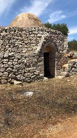 Trullo Autentico tra Ulivi Secolari - Salento