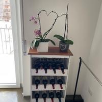 Cantinetta porta bottiglie
