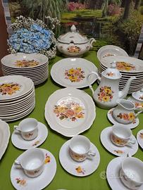 Servizio della Kronester Bavaria Vintage. 65 Pz.