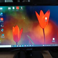 monitor 18.5 pollici 