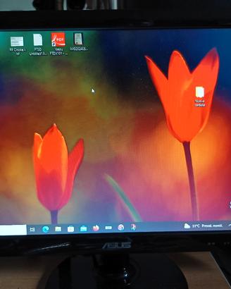 monitor 18.5 pollici 