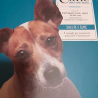 Il Cane Amarlo capirlo educarlo #4