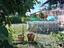 Immagine 27