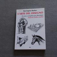 L'arte Del Disegno
