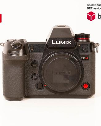 Panasonic S1H