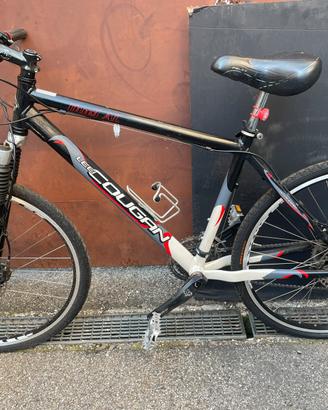 BICI LEE COUGAN DUEL AL