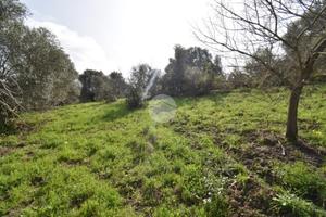 TER. AGRICOLO A AGROPOLI