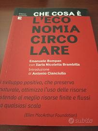 Che cosa è l'economia circolare