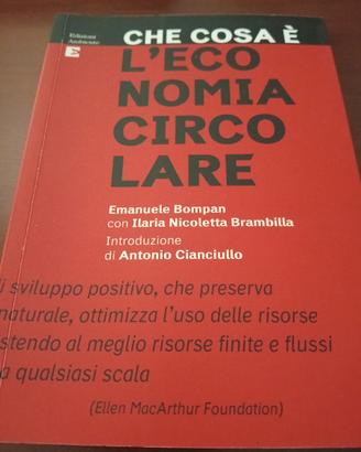 Che cosa è l'economia circolare