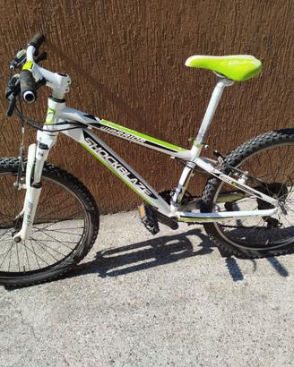 bicicletta