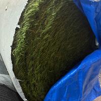 Prato sintetico 60mm KING alta qualità