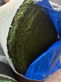 Prato sintetico 60mm KING alta qualità