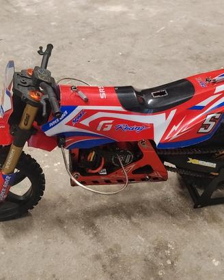 Modellino 1:4 SKYRC SR5