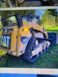 Cat 259/B
