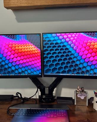 2 Monitors LG UltraGear 27" 27GR75Q+doppio braccio