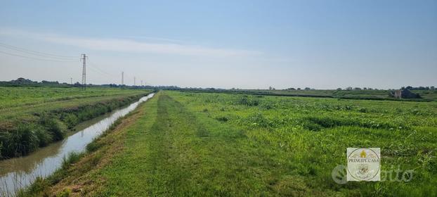 Terreno a Loreo (RO)