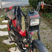 Califfone Rizzato bimarcia automatico 