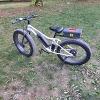 ebike