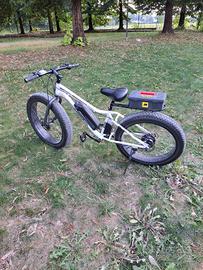 ebike
