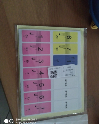 Adesivi note per tastiera musicale o pianoforte