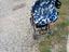 Immagine 2