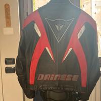 Giubetto moto DAINESE K