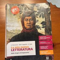 Libro di Letteratura