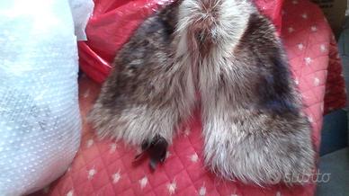 Collo VERA MARMOTTA+altri colli +Accessori  uo/don