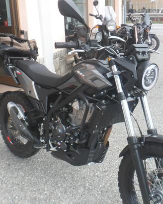 Beta Alp 4.0 x