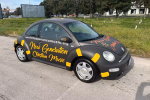 NEW BEETLE