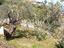 Immagine 26